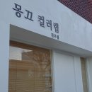[진주] 아직도 퍼스널 컬러 모르는 사람 있나요? 몽끄 컬러랩으로 달려가세요!