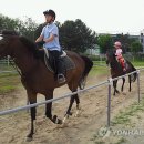 춘천승마장 이미지