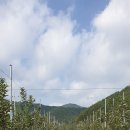 좌운농원