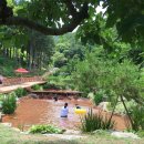 용문산야생화마을 이미지