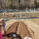 통큰아이유치원 이미지