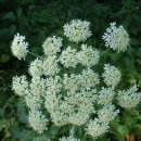 모스가든 이미지