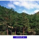 정겨운마을 이미지