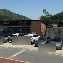 강쇠네흑돼지 이미지