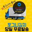 맛있는 국산 김치 포그니김치 사드세요