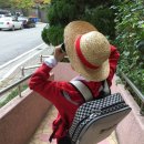 루피의 보물섬 이미지