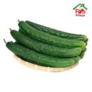 오이식탁 | 🥒 오이 월드컵! 당신의 선택은? 취청오이 vs 백다다기오이, 식탁 위 이상형을 골라보세요!