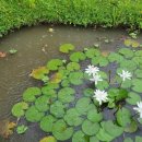 무의목장 | 치앙마이 카페(5) 빠이 3편: Art Farm Studio, Romance Cafe