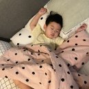 (주)온전히