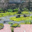 브로콜리삼춘 이미지