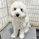 해안대로-2 이미지