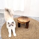 1364 쇼핑하우