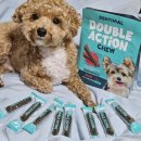 레인캔넬 | 덴티멀 천연 연마제 덴탈 껌 - 더블액션 츄 :)