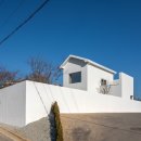 코스타리몬 이미지