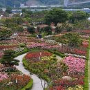 장미공원 주차장 입구 이미지