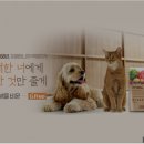 대산 동물병원 이미지