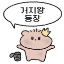 스페이스플로라 이미지