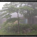 설피원 이미지