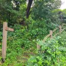 금당중학교옆 이미지