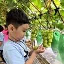 늘솔길공원1 이미지