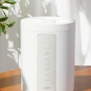 스팀코리아 이미지