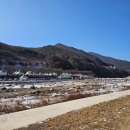대강 | 충북 겨울 축제 "단양 겨울놀이 축제" 체험 먹거리 공연 후기