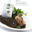 [풀마루] #5. 계획임신을 위한 배란일 계산법을 알아보아요 / 가임기간 알아보기 이미지