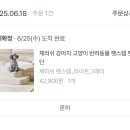 체리쉬펫 | 펫테리어 체리쉬 펫스텝 맛있는 강아지계단 3단 내돈내산