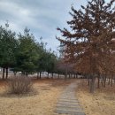 강당말공원 이미지