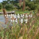 안성맞춤랜드 이미지