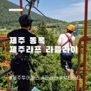 제주도 동쪽여행 제주투어패스로 짜릿한 짚라인 탈 수 있는 제주라프 라플라이
