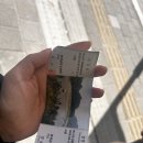 제바위세천 | [내돈내산] 영월 여행 코스 완벽 정리(청령포부터 고씨동굴까지!)
