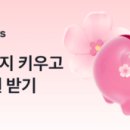 꽃돼지 이미지