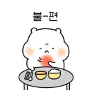 아꼬아 이미지