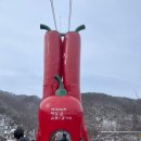 [ 청양 / 알프스마을 ] 아이랑 겨울축제는 요기로! ( 얼음분수축제 + 칠갑산 출렁다리)