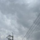 하늘멍가 이미지