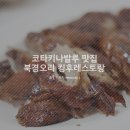 코타키나발루 베이징덕 북경오리 맛집 &#39;킹후레스토랑&#39;
