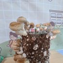 (주)장수생명과학 이미지