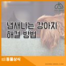 사바나동물병원 이미지