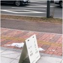 래쉬빈 네이버블로그