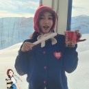 (주)미나투어 | 융프라우 웹캠 / 융프라우 신라면 / 융프라요흐 하이킹 투어 / 아이거 익스프레스 / 마운자로 7.5mg 후기
