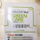 더케어벳 이미지