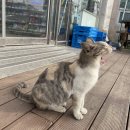 GS25만리포점 이미지