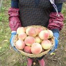 진고개농장 이미지