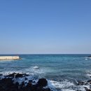 씨 스테이 앤 이미지