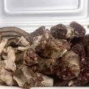 [시흥/은계지구 순대 맛집]은행동 푸드트럭 &#34;오늘은순대(오순)&#34; 내돈내산 솔직후기!(Feat.용빵빵)