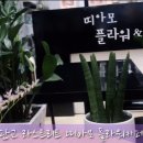띠아모플라워&커피데이 이미지