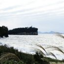 변산반도여행 국립공원 격포코스, 적벽강과 함께한 격포해수욕장, 수성당가는 길 유채꽃의 유혹 이미지