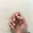 옥정 네일 잘하는곳 • 네일도,브로우 강추 후기🥇