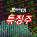 에스엠코인 이미지